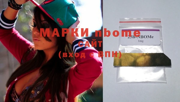 дживик Инта
