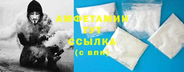 ГАЛЛЮЦИНОГЕННЫЕ ГРИБЫ Аркадак