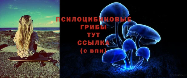 ГАЛЛЮЦИНОГЕННЫЕ ГРИБЫ Аркадак