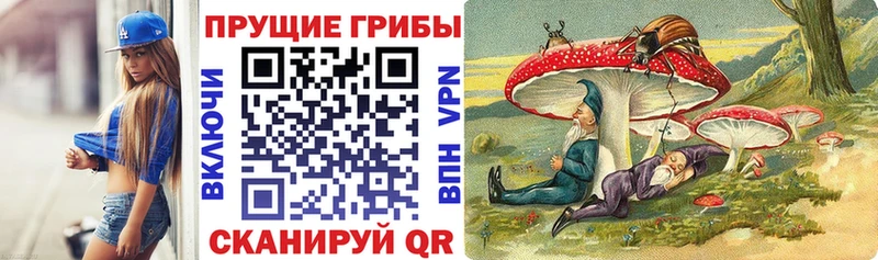 Галлюциногенные грибы Magic Shrooms  hydra ссылка  Белый  купить наркотики сайты 